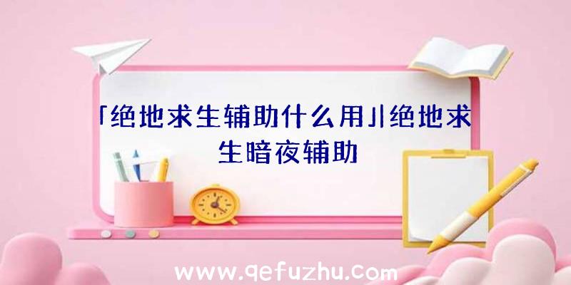 「绝地求生辅助什么用」|绝地求生暗夜辅助